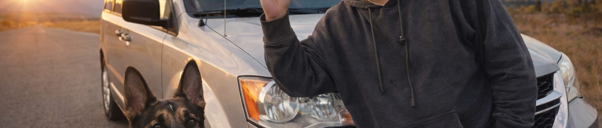 Stray and Loki - The Journey Begins